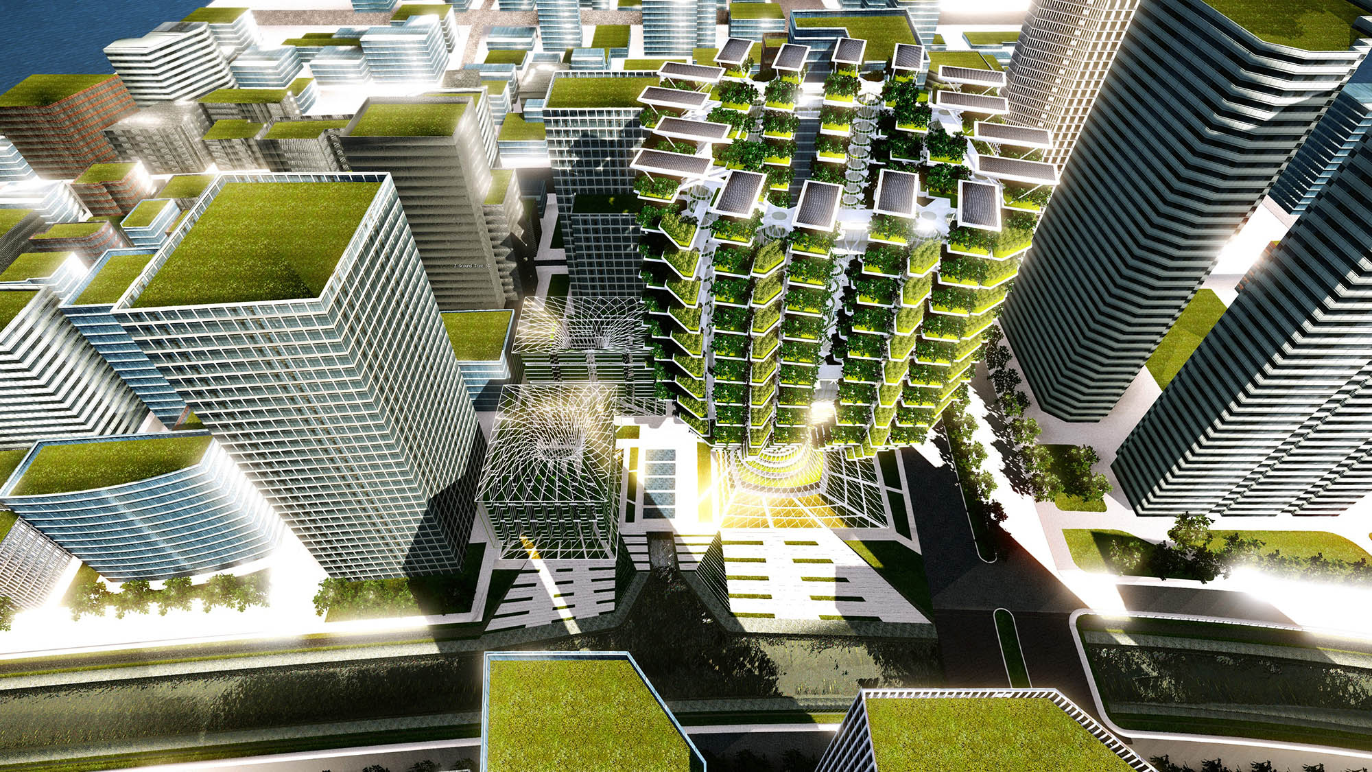 treeshape skyfarm cover photo