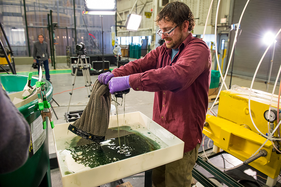sponges for oil spill 2