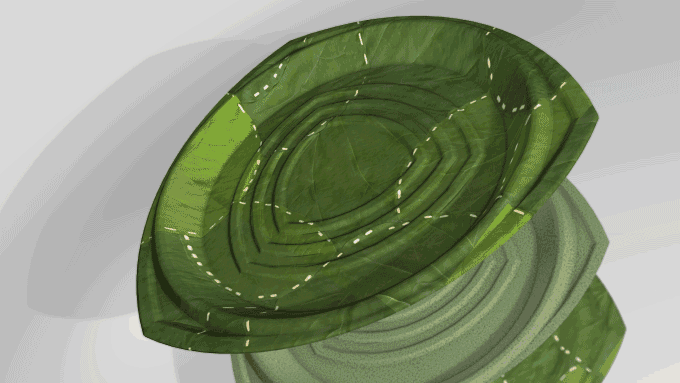 leaf plates 2