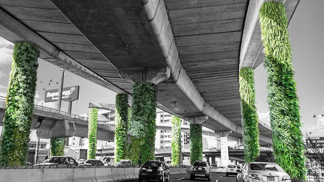 via verde mexico 1