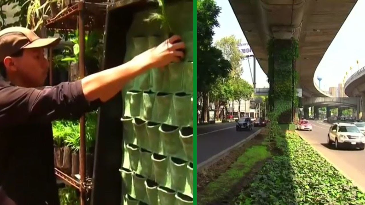 via verde mexico 2