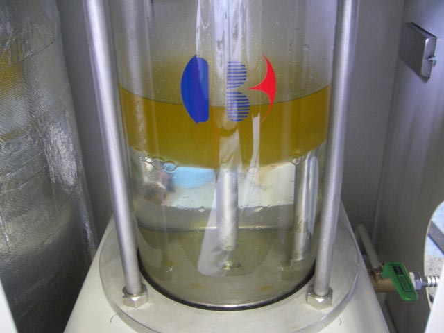 Blest plastic to oil 2