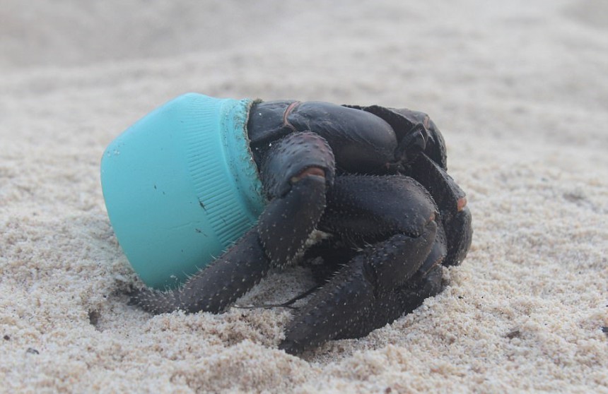 Henderson island waste4