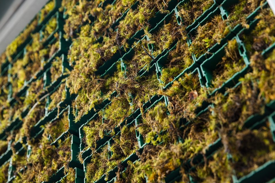 citytree 3