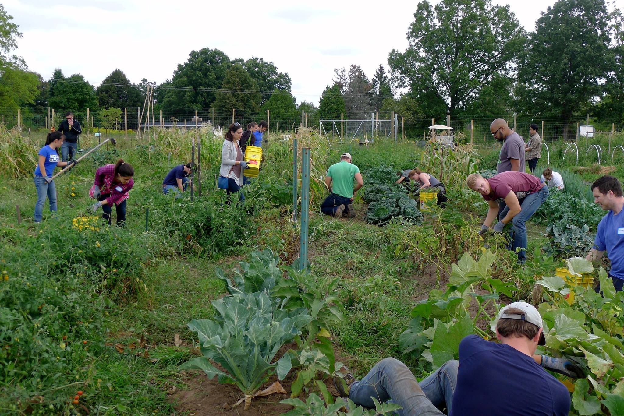 Michigan campus farm3