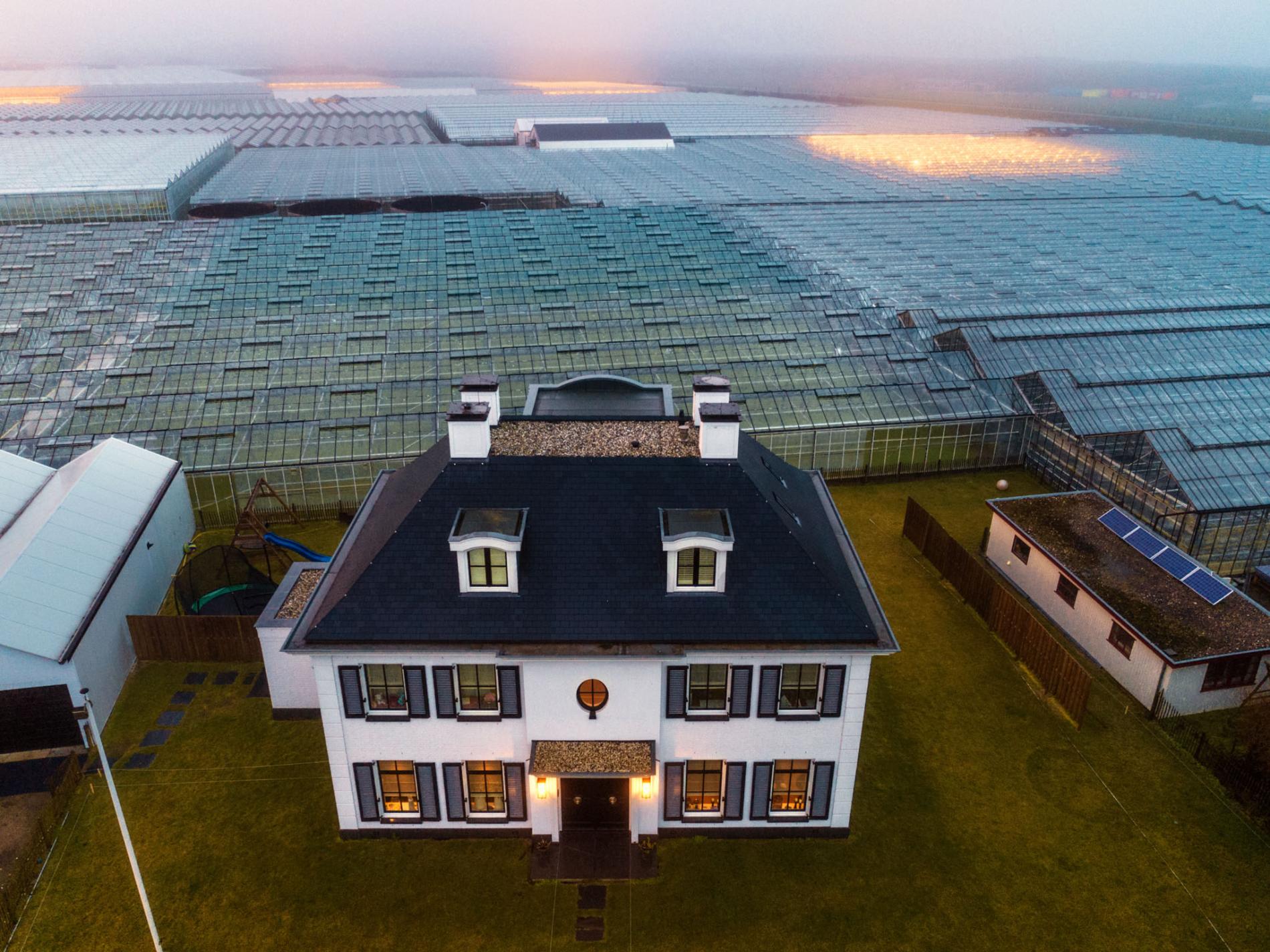 innovative Dutch greenhouses 2