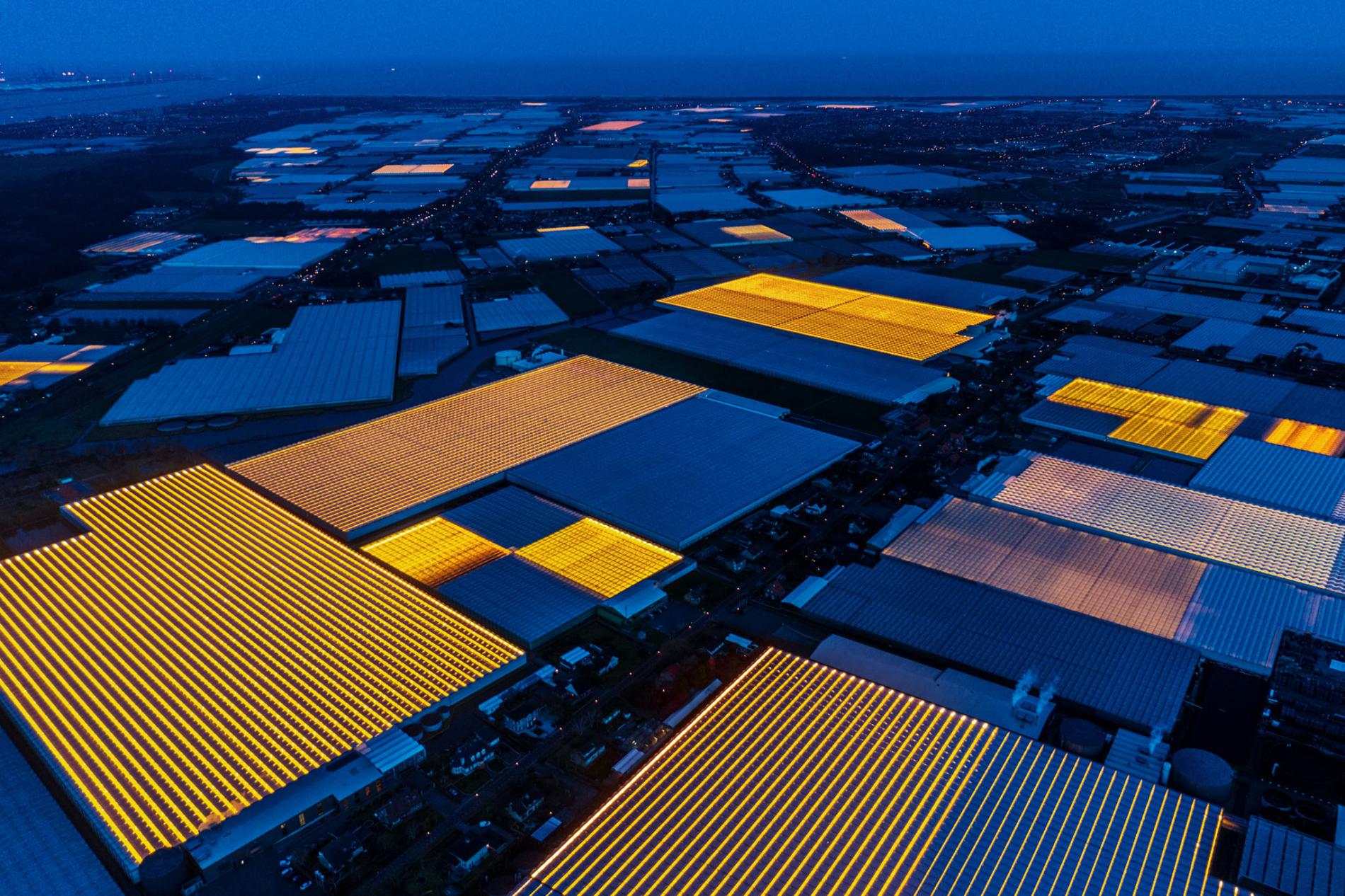 innovative Dutch greenhouses 3