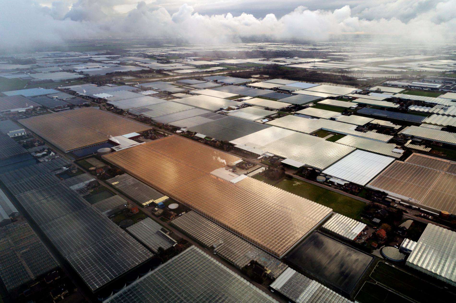 innovative Dutch greenhouses 4