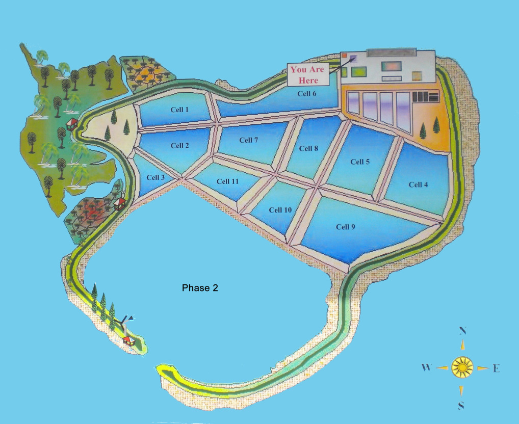 landfill Singapore 1