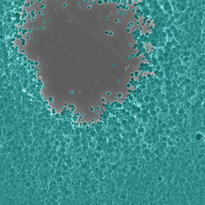 Enzyme eating plastic2