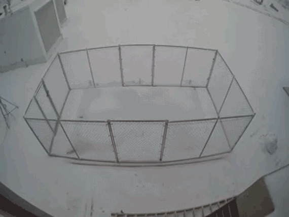 let it snow video