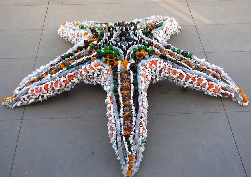 plastic waste asterias